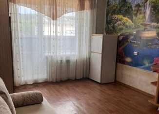 Квартира в аренду студия, 20 м2, Горно-Алтайск, Заринская улица, 39