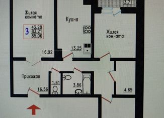 3-комнатная квартира на продажу, 85.1 м2, село Александровка, Ясная улица, 4