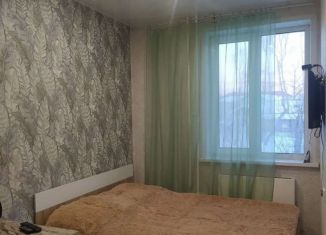 Квартира в аренду студия, 13.5 м2, Новосибирск, Ленинградская улица, 347А, метро Речной вокзал