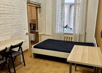 Сдается в аренду квартира студия, 25 м2, Санкт-Петербург, Канонерская улица, 14, муниципальный округ Коломна