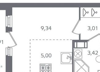 Продается квартира студия, 22.7 м2, Санкт-Петербург, метро Выборгская