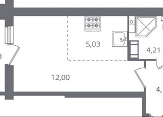 Продается квартира студия, 27 м2, Санкт-Петербург, метро Выборгская