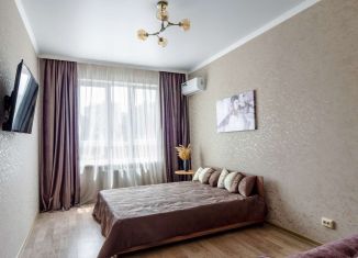 1-комнатная квартира в аренду, 50 м2, Краснодарский край, улица Гоголя