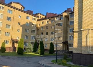 Продам 1-комнатную квартиру, 39.1 м2, деревня Мокшино, Солнечная улица, 9А