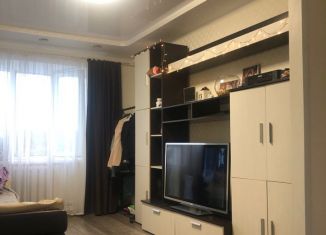 Продажа 2-ком. квартиры, 40 м2, село Дмитриевка, Трактовая улица, 3