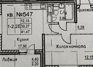 Продается однокомнатная квартира, 41.5 м2, Санкт-Петербург, метро Пролетарская, Русановская улица, 20к3