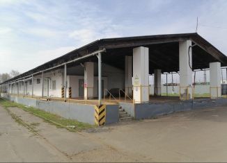 Сдам складское помещение, 625.8 м2, Брянск, переулок Менжинского, 1А, Фокинский район