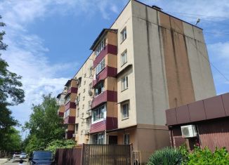 Продам 2-ком. квартиру, 55.6 м2, село Орёл-Изумруд, Петрозаводская улица, 6