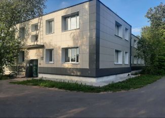 1-комнатная квартира на продажу, 42 м2, деревня Тихковицы, деревня Тихковицы, 3