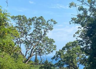 Продается земельный участок, 6 сот., посёлок городского типа Симеиз, Голубая улица