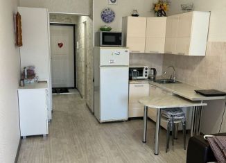 Продается квартира студия, 28 м2, Анапа, улица Ленина, 185Ак3, ЖК Метеора