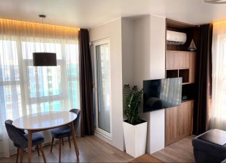 Однокомнатная квартира на продажу, 44 м2, Мурино, улица Шоссе в Лаврики, 63, ЖК Муринское-1