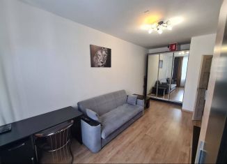 Однокомнатная квартира в аренду, 33.9 м2, Мурино, улица Шувалова, ЖК Гринландия-2