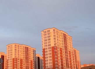 Продажа квартиры студии, 25 м2, Кемерово, Притомский проспект, 25, ЖК Сибирские Просторы