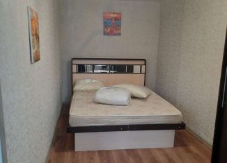 Аренда 2-комнатной квартиры, 47 м2, Челябинская область, улица 50 лет ВЛКСМ, 29