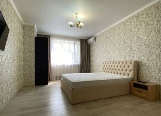 1-комнатная квартира в аренду, 50 м2, Владикавказ, улица Цоколаева, 40, 11-й микрорайон