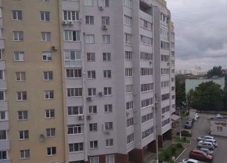 Сдам в аренду однокомнатную квартиру, 45 м2, Владимирская область, улица Студёная Гора, 34А