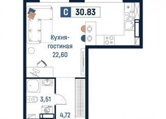 Продается квартира студия, 30.8 м2, Ленинградская область