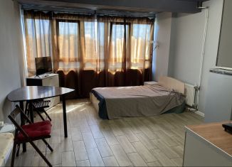 Аренда квартиры студии, 30 м2, Мурино, улица Шувалова, 22к3, ЖК Витамин