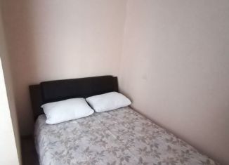 Сдам в аренду 1-ком. квартиру, 16 м2, Ставропольский край, улица Ленина, 19А