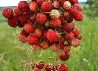 Продажа земельного участка, 12 сот., Тетюши, Кирпичный проезд