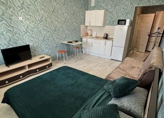 Сдается квартира студия, 30 м2, Оренбург, Уральская улица