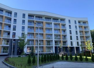 Продам квартиру студию, 36.7 м2, Светлогорск, Кленовая улица, 2