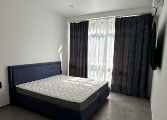 Сдается квартира студия, 20 м2, Сочи, Пятигорская улица, 17/47, микрорайон Соболевка