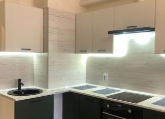 Квартира на продажу студия, 25 м2, Сертолово, Центральная улица, 14к3