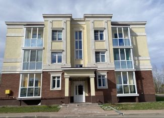 Продается квартира студия, 13.5 м2, деревня Ивановское, улица Николинские Ключи, 25