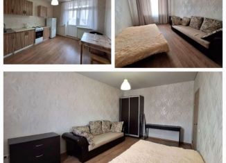 Аренда однокомнатной квартиры, 40 м2, Краснодар, улица имени Жлобы, 141, ЖК Севастопольский