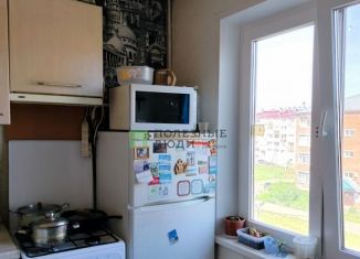 Продаю 2-комнатную квартиру, 46 м2, деревня Хохряки, Тепличная улица, 9