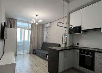 Продается квартира студия, 23 м2, Ростов-на-Дону, Береговая улица, 6, Ленинский район