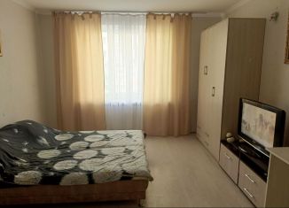 Сдаю 1-комнатную квартиру, 36.4 м2, поселок городского типа Стройкерамика, улица Анетты Басс, 5