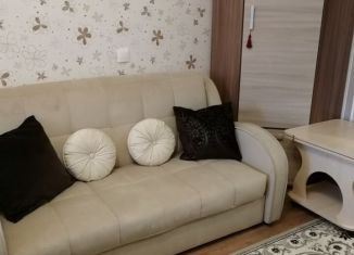 Сдаю квартиру студию, 28 м2, Петергоф, Чичеринская улица, 2