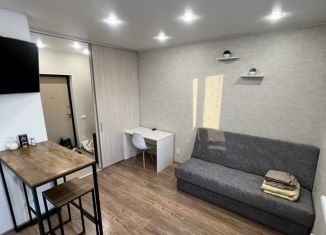 Сдается в аренду квартира студия, 25.4 м2, Сыктывкар, Петрозаводская улица, 33/1, район Орбита