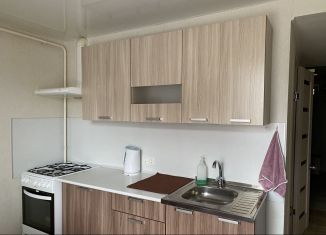 Сдается в аренду 1-ком. квартира, 30 м2, Сочи, садоводческое товарищество Лысая Гора, 182, микрорайон Светлана