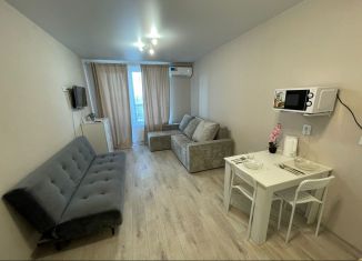 Квартира в аренду студия, 25 м2, Воронеж, Ростовская улица, 67