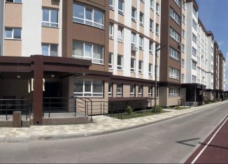 Продаю квартиру студию, 22.5 м2, село Засечное, Центральная улица, 6