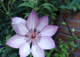 Сдача в аренду дома, 80 м2, Таганрог, Октябрьская площадь