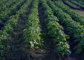 Продается земельный участок, 6.3 сот., садоводческое некоммерческое товарищество Красная Горка