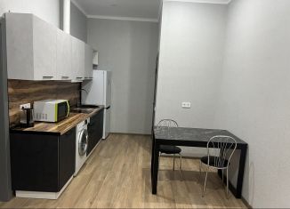 Сдается в аренду 1-ком. квартира, 40 м2, Лабинск, Красная улица, 390