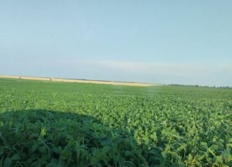 Земельный участок на продажу, 3500000 сот., деревня Подосинки, 70К-224