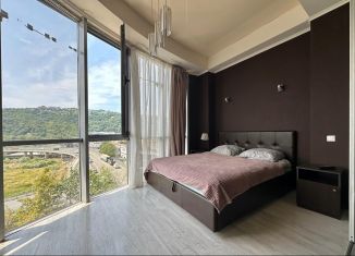 Продам 1-комнатную квартиру, 60 м2, Сочи, Пластунская улица, 194Б, микрорайон КСМ