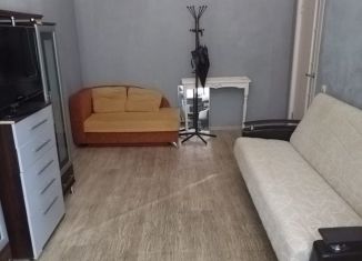 Сдается 1-ком. квартира, 30 м2, Карабаново, улица Мира, 13