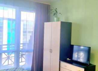 Сдаю в аренду квартиру студию, 31 м2, Сочи, Старонасыпная улица, 1, микрорайон Черемушки