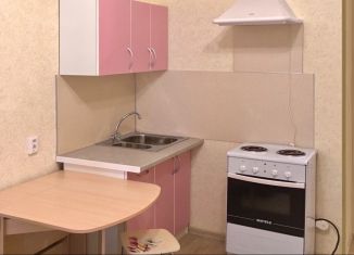 Сдается квартира студия, 25 м2, Рязань, Большая улица, 90к1, Октябрьский район