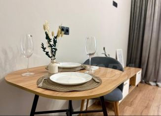 Продам квартиру студию, 27 м2, Тюмень, улица Валентины Трофимовой, 8, ЖК Пятый квартал