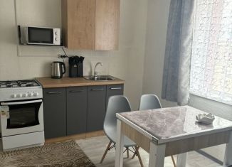 Сдается дом, 55 м2, село Кош-Агач, улица Абая, 3