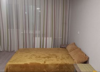 Аренда квартиры студии, 26 м2, Ростов-на-Дону, ЖК Платовский, улица Тимофеева